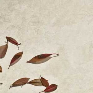 Alpine Desert sand quartz-effect porcelain tile swatch displayed with scattered leaves, highlighting the natural-textured stone-coloured finish.