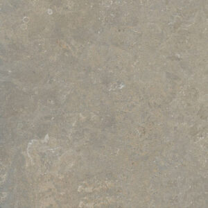 Fusion Fossil grey limestone-effect porcelain tile swatch in a 60x60cm square format, displaying dark grey tones with a natural stone-look surface.