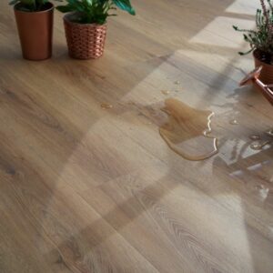 Harmony SPC vinyl flooring